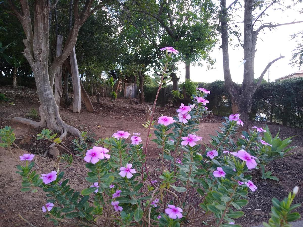 Paraiso Em Serra Negra Lindoia Com Linda Paisagem מראה חיצוני תמונה